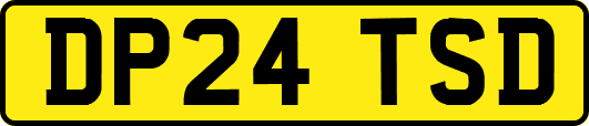 DP24TSD