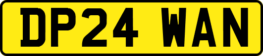DP24WAN