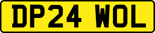 DP24WOL
