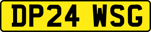 DP24WSG