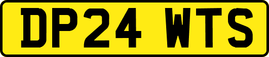 DP24WTS