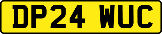 DP24WUC
