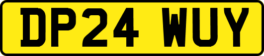 DP24WUY