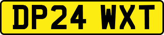 DP24WXT