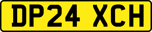 DP24XCH