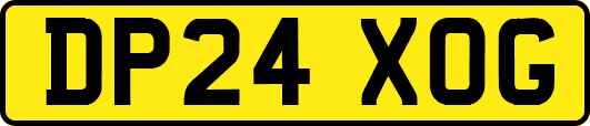 DP24XOG