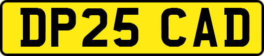 DP25CAD