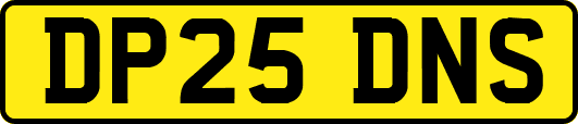 DP25DNS