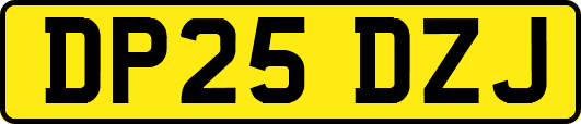 DP25DZJ