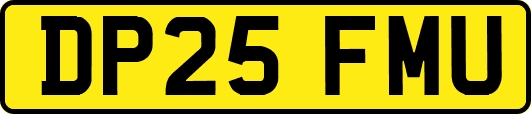 DP25FMU