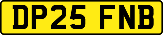 DP25FNB