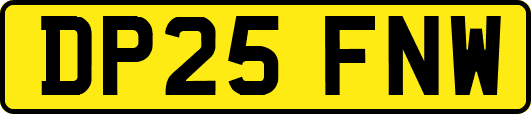 DP25FNW