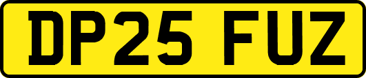 DP25FUZ