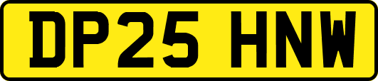 DP25HNW
