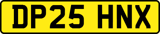 DP25HNX