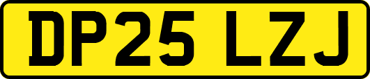 DP25LZJ