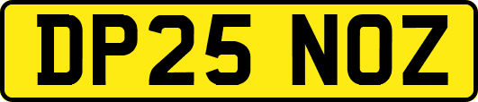DP25NOZ