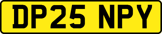 DP25NPY