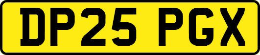DP25PGX