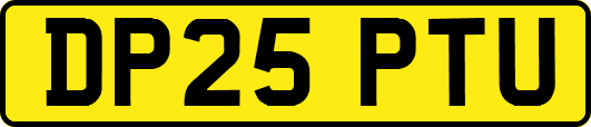 DP25PTU