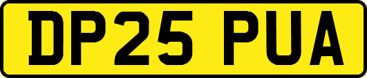 DP25PUA