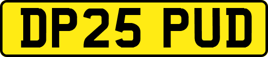 DP25PUD