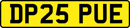 DP25PUE