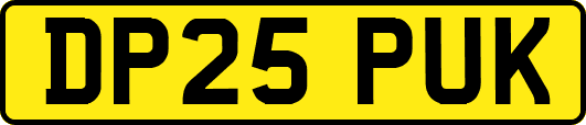DP25PUK