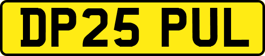 DP25PUL