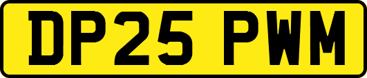 DP25PWM