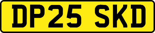 DP25SKD