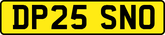 DP25SNO