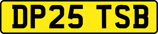 DP25TSB