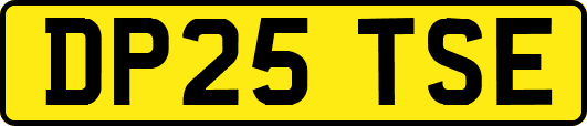 DP25TSE