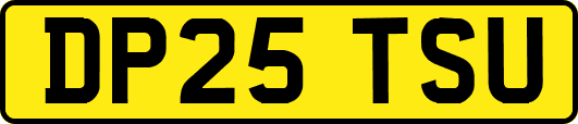 DP25TSU