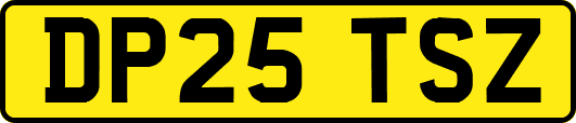 DP25TSZ