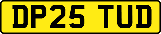 DP25TUD