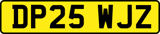 DP25WJZ