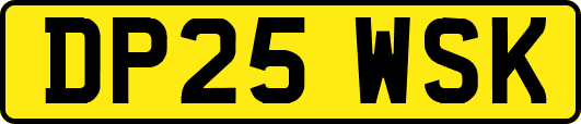 DP25WSK