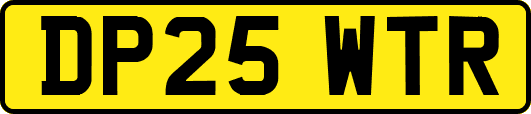 DP25WTR
