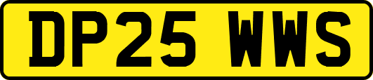 DP25WWS