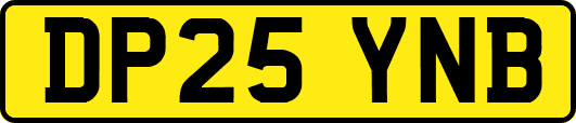 DP25YNB