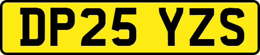 DP25YZS