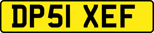 DP51XEF