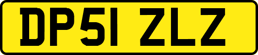 DP51ZLZ