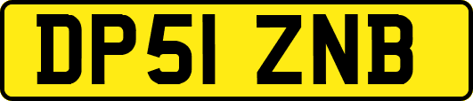 DP51ZNB