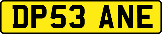 DP53ANE