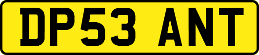 DP53ANT
