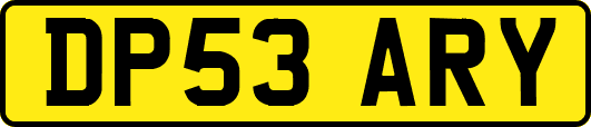 DP53ARY