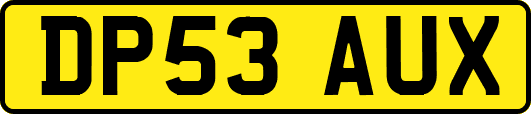 DP53AUX